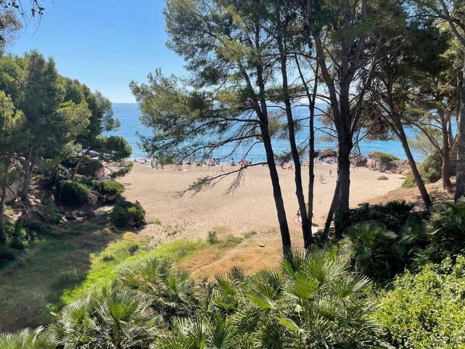 Precioso Apto Miami Primera Linia Playa Cala De Las Sirenas, Con Wifi Y Netflix, Adecuado Para Teletrabajar Miami Playa Buitenkant foto